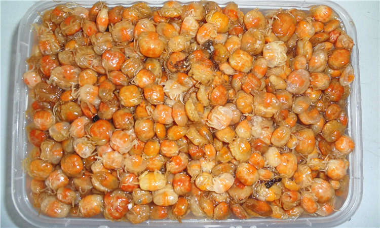 海之沃海鲜水产营养丰富 海中珍品补品新鲜速冻螃蟹珍珠蟹寄居蟹