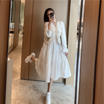 Early autumn 2021 popular skirt autumn short mature goddess thin small man wear two-piece suit early autumn