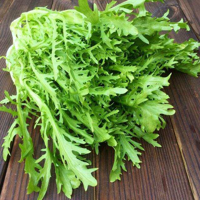 夏季吃9种苦味菜助消化除体热