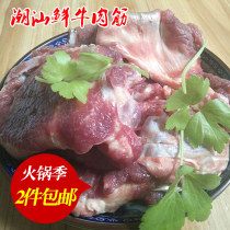Fresh Raw Beef Tendon 500 gr Ruremember ChaoShante produces Beef Tendon Beef beef Beef Brisket Hot Pot ingredients 2 pieces