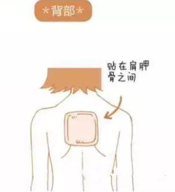 后背:贴在后背的肩胛骨之间,对肩膀痛与头痛有奇效;全身最合适贴暖