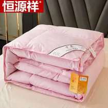 Hengyuanxiang cotton duvet 95 white goose down winter quilt thickened warm duck down quilt core students single and double spring and autumn quilt