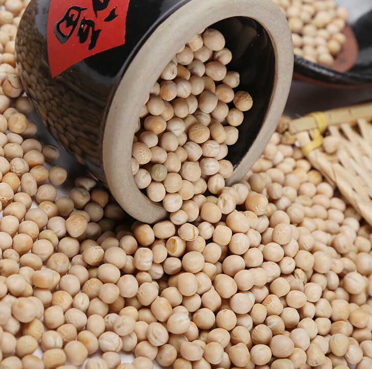 农家自种 白豌豆生干豌豆250g寒豆麦豆重庆小面原料 苗芽菜种子