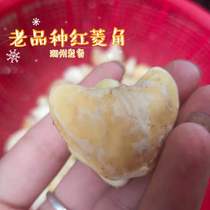 Chaoshan self-planted fresh water chestnut meat wild chestnut shell old water chestnut Lotus spring spring picking 500g