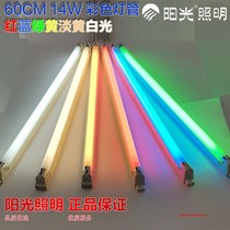 Sunshine t5 color lamp integrated bracket warm yellow white red green blue fluorescent lamp full set of 60CM lighting