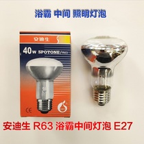 Andison 40w reflective spotlight bubble E27 screw port R63 waterproof explosion-proof heating bath bully middle lighting bulb