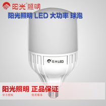 Sunshine lighting LED20W30W40W bricklayer factory high-power bulb light LED energy-saving light bulb E27 large screw port