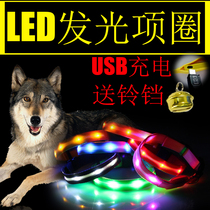 LED Pet Pooch Luminous Neckline USB Charging Neck Ring Luminous Dog Circle Teddy Small & Medium Dog Kitty Dog Neckline