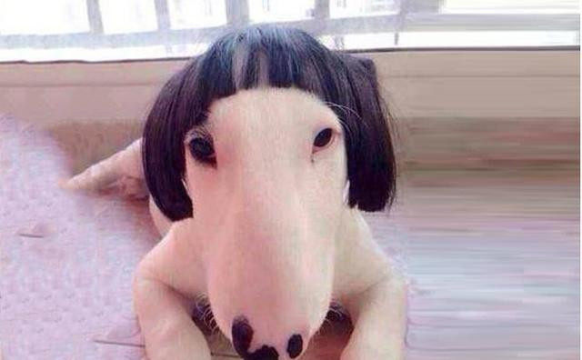 女生千万别剪这四种刘海,男生看了会暴走