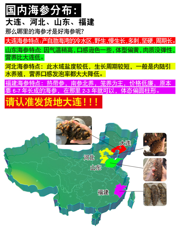 大连淡干海参干货50g 野生原产地 特产辽刺参海渗礼盒装 产品简介