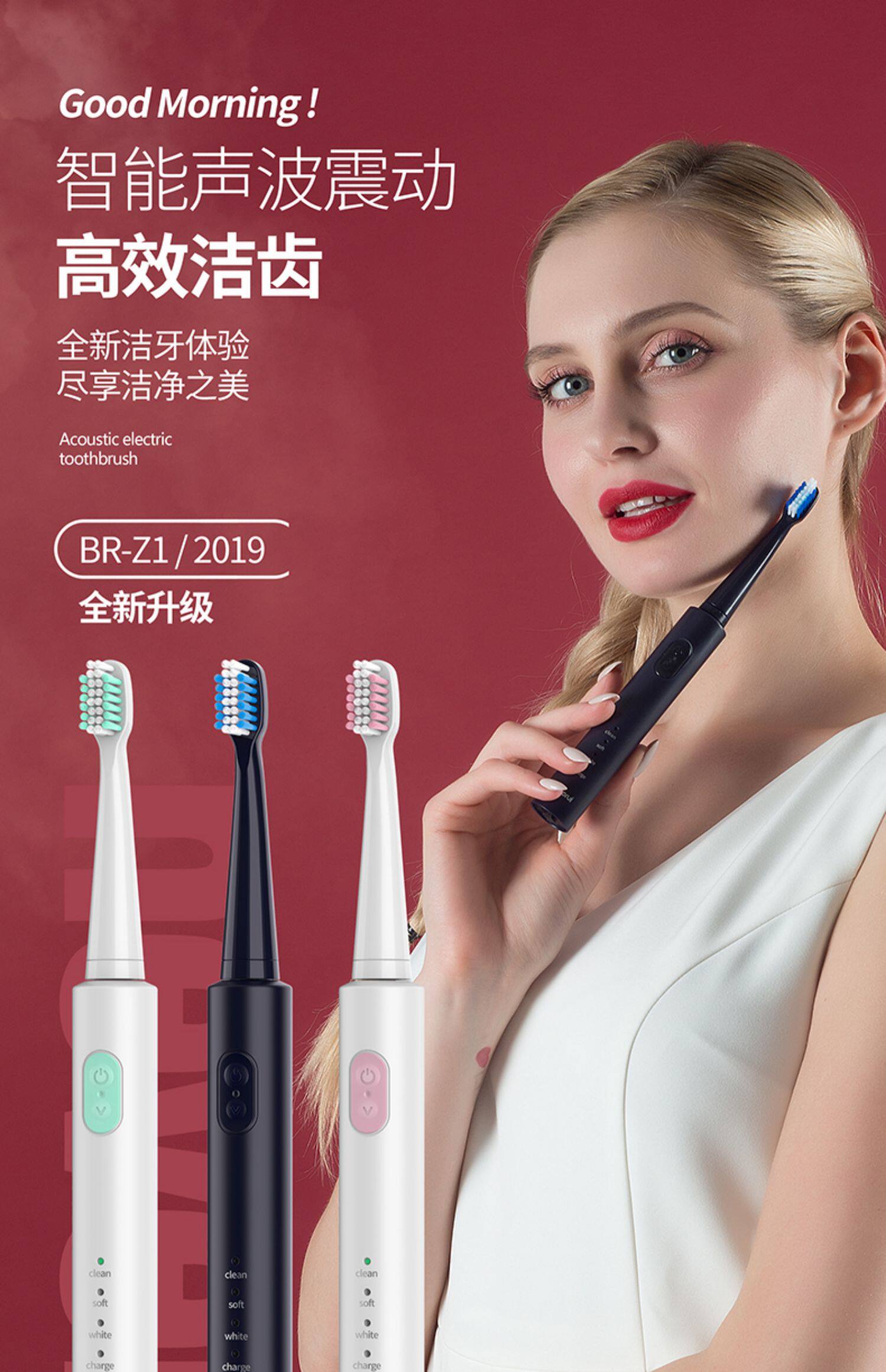 德国铂瑞br-z1电动牙刷成人充电式声波超自动软毛男女情侣款套装_茉莉