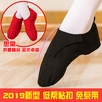  Low-top jazz boots new dance shoes adult soft-soled shoes Childrens body practice shoes mens and womens ballet shoes yoga