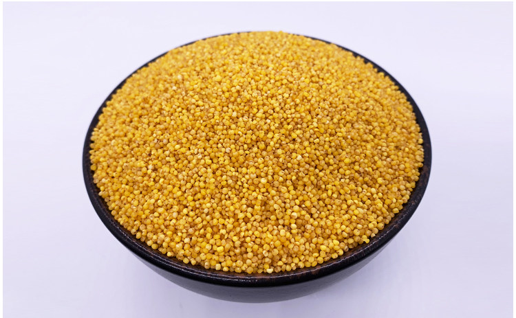 陕北米脂黄小米2019新米陕西特产农家小黄米油小米粘食用5斤