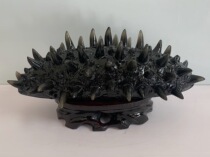 Special offer 25cm 30cm sea cucumber model simulation sea cucumber simulation large model office ornaments cabinet decoration