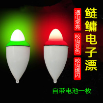 Silver Carp e-float Night fishing Drift with a quick bite and a quick throw of a large head and silver carp floating for a big belly float