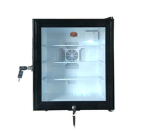 Kindergarten food sample cabinet single and double lock small display preservation cabinet miniature mini single door refrigerator silent