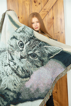 Nordic modern minimalist Decorative Blanket Pet Blanket Black and white kitty Blanket Sofa Towel Sofa blanket