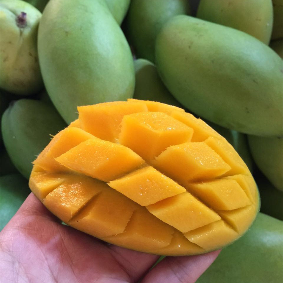 [苏二头] 越南玉芒8斤 小青芒 芒果新鲜水果