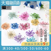 Paixi happy heart flower dried flower Snow bead flower Bud flower drop glue dried flower phone shell diy flower plant specimen