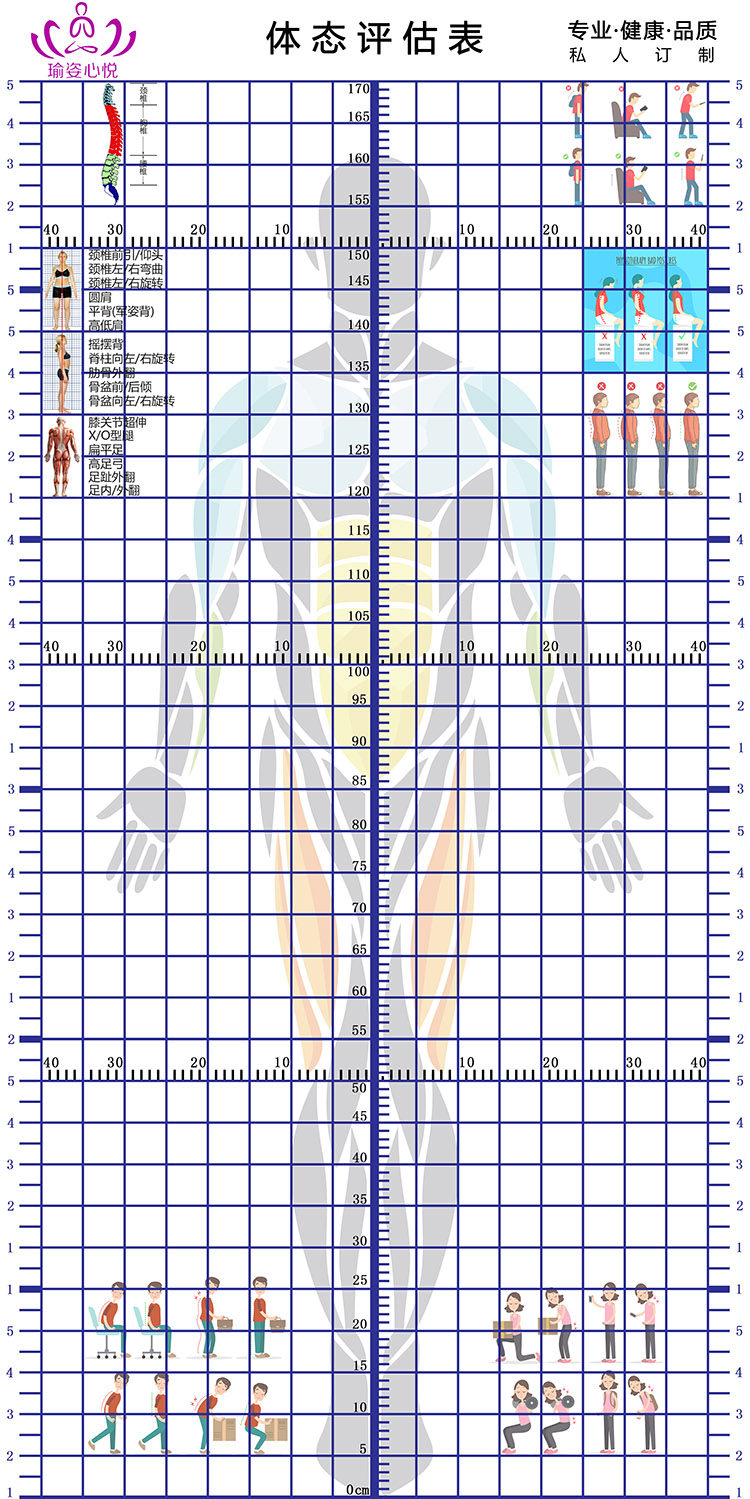 健身评估网格体姿图定制简约体测表人体姿势分析墙纸体位测量体态