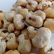 Old-fashioned traditional carbon stove popcorn corn 500g Guizhou snacks bro traditional lead-free nostalgia