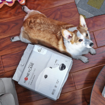 Good life natural dog teddy diaper 100 absorbent deodorant diaper pad toilet pet supplies pad