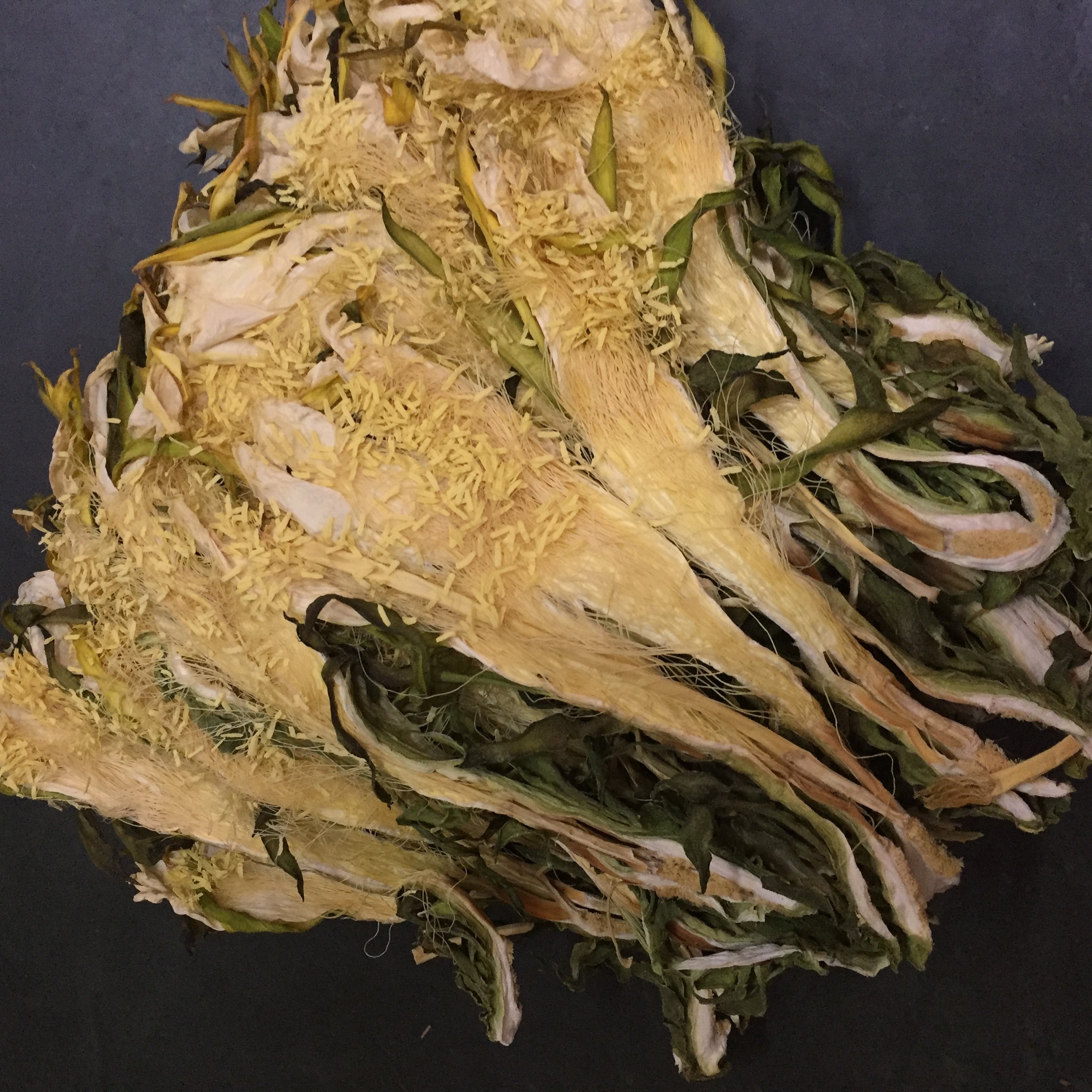 包邮肇庆特产霸王花剑花干煲汤干货250g农家无硫新鲜昙花干清补凉