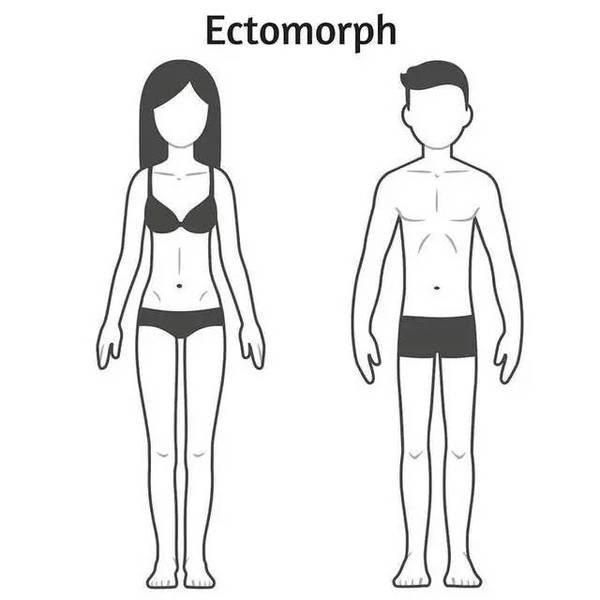 哪种体型的男生最受女生欢迎?