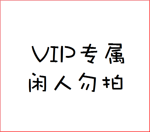 Special VIP customers to enjoy custom-made model idle and do not film and not ship