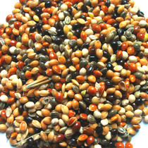 Mixed millet five-color millet corn tiger skin peony Bird Grain hamster pigeon grain One Piece = 1 catty and 5 kilograms