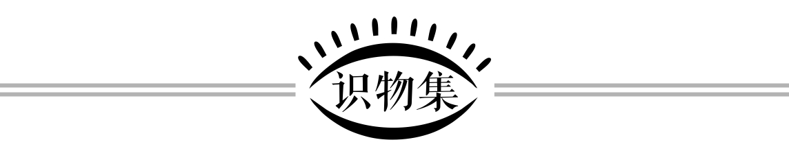 别因错过3个敏感期，拉开孩子的人生差距20