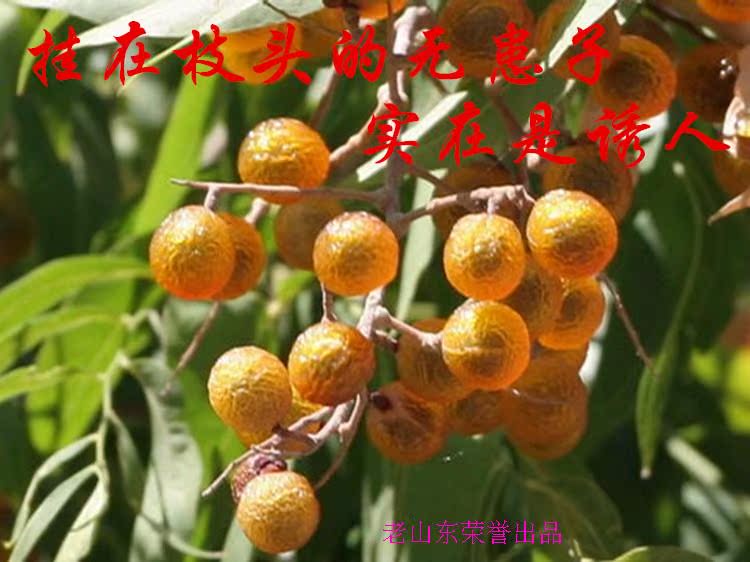 3斤包邮新货野生酵素无患子果皮 圆皂角 送无纺布袋 1份1斤_7折现价6.
