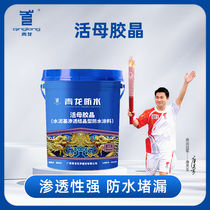 Qinglong live mother rubber crystal cement base permeable crystallization type water repellent polymer paint ground pool basement