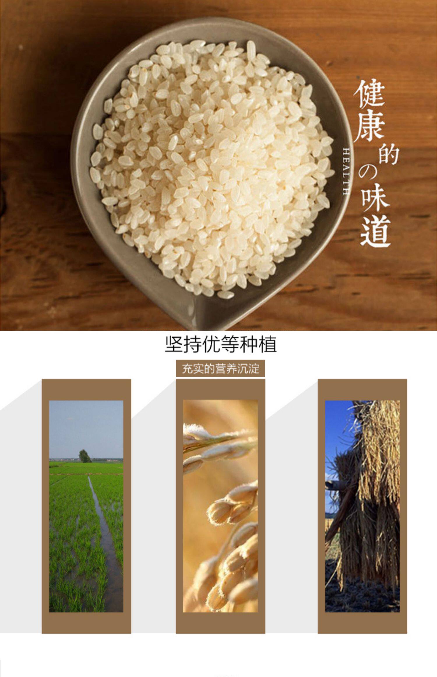 5kg金胚芽米营养东北米