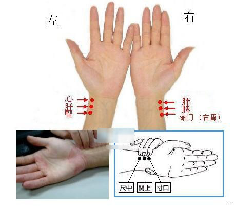 手表戴法男女不同,有趣的是,男人和女人的脉相的关键点分布在不同的