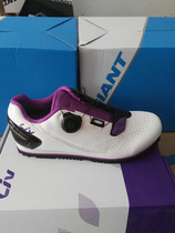 GIANT Teant LIV Ladies FAMA riding shoe riding Mountain road bike riding shoes