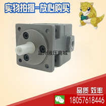 YB1-100 Xianju Yongling vane pump YB1-2 5 4 6 10 16 YB1-25 YB1-32 YB1-40