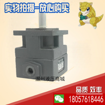 Yongling YLC vane pump YB1-2 5 YB1 4 6 10 16 20 25 31 5 40 63 80 100