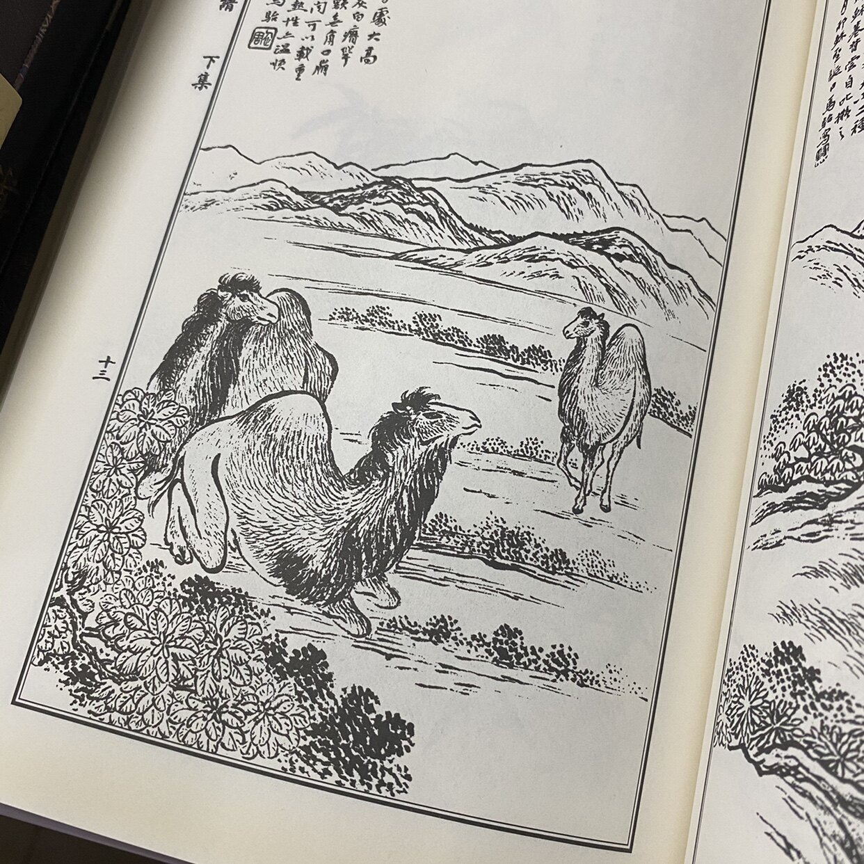 马骀画宝全五册人物篇一二花鸟走兽工笔线描白描画谱山水白描画谱