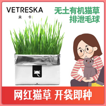 (home with meow) Unkitten Cat Grass No Soil Water Bacon Suit Imported Oat Seed Cat Snacks GROSS