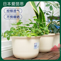 Alice flowerpot plastic large succulent plant with tray imitation ceramic resin green Alice creative balcony
