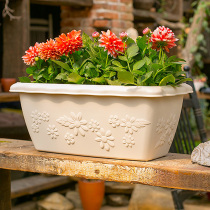 Alice flowerpot plastic large small succulent plant thickened imitation ceramic resin vegetable Alice rectangular plain