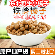 Tieling wild hazelnuts Northeast specialty fried and cooked 2020 wild mountain 500g snack nuts in bulk Kaiyuan Hazelnut Mountain
