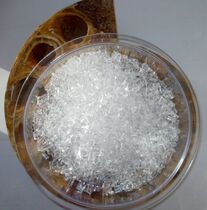 paraloid b72 B72 particles Palau German animal protection repair fossil reinforcement sealing adhesive