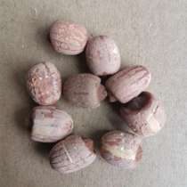 2021 new goods Xianglian wild lotus seed dry goods with red belt core red lotus seed 500g with heart lotus