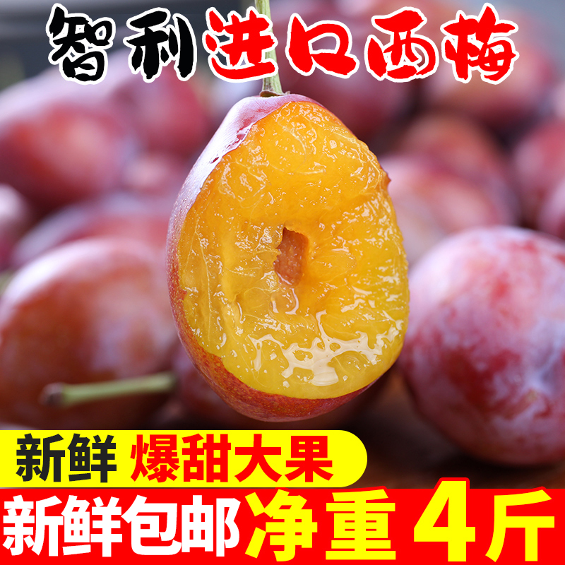 Authentic Chilean imported prune fresh fruit full box season prune fresh fruit burst sweet big fruit plum 4 catties