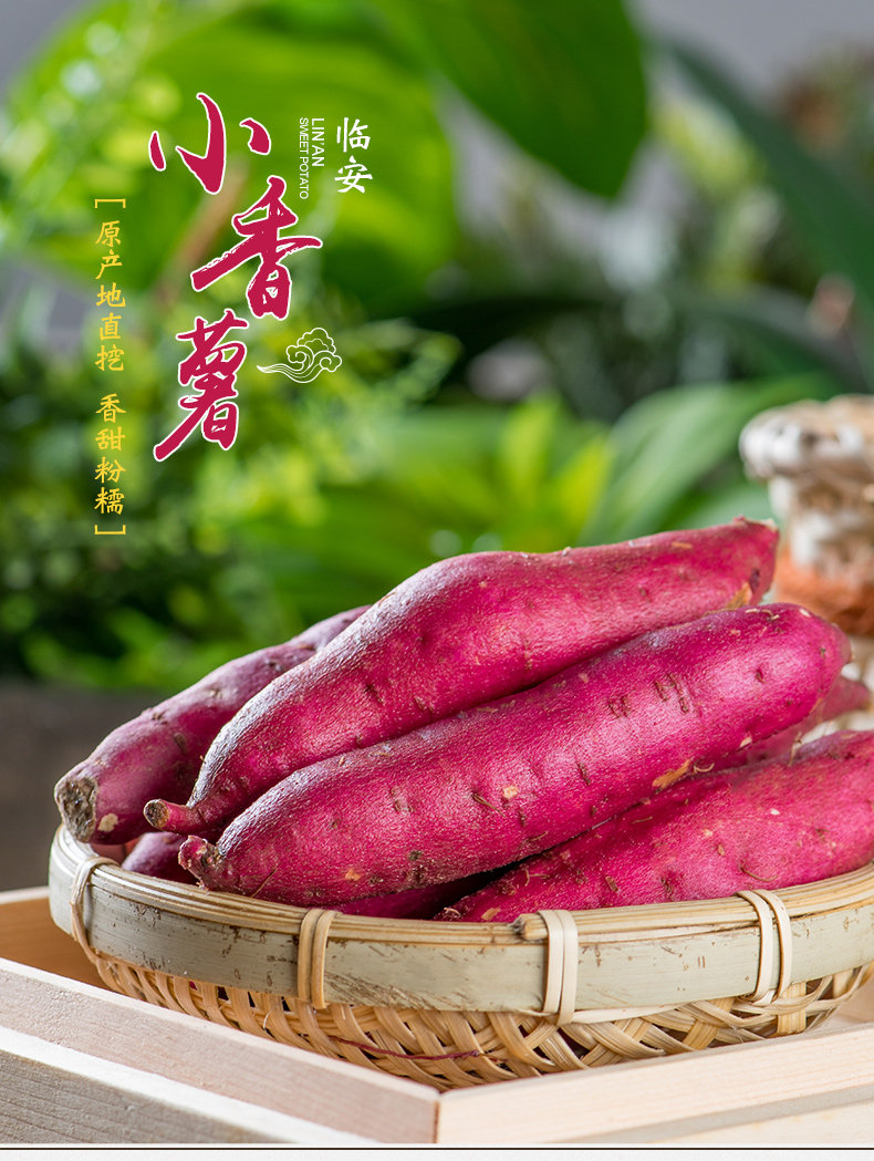 天目山小香薯 临安农家小红薯新鲜蔬菜小番薯板栗山芋地瓜5斤中号_秒