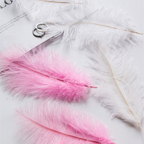 ins photography props natural ostrich feather ornaments shoot pictures Decorative Cosmetics photo swing piece Background