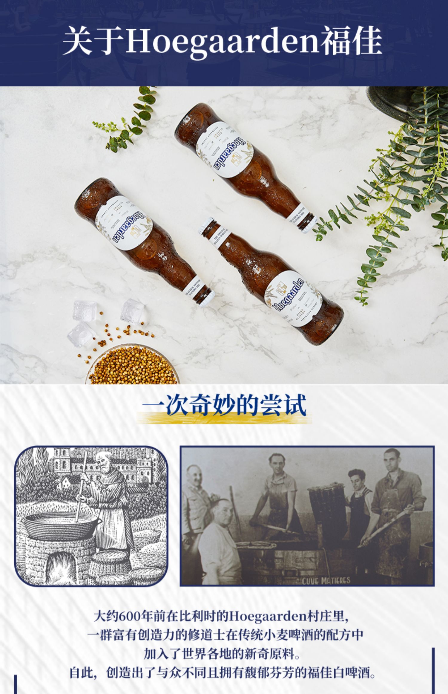 福佳比利时风味白啤酒246ml*24瓶