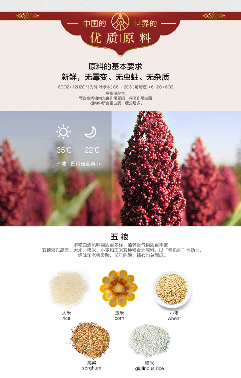 五粮液股份出品 纳福精品级52度500ml*6瓶浓香